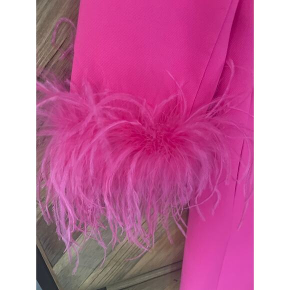 Tuckernuck Hot Pink Feather Mod Mary Dress Small - Picture 6 of 10